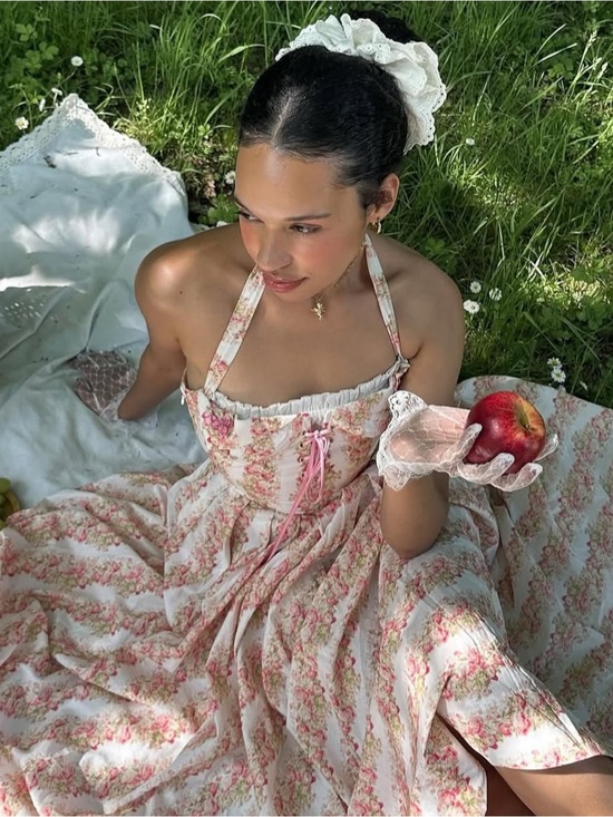 Lacemade Dresses & Skirts - LaceMade Tuscany Rose Corset Dress Large US: 6